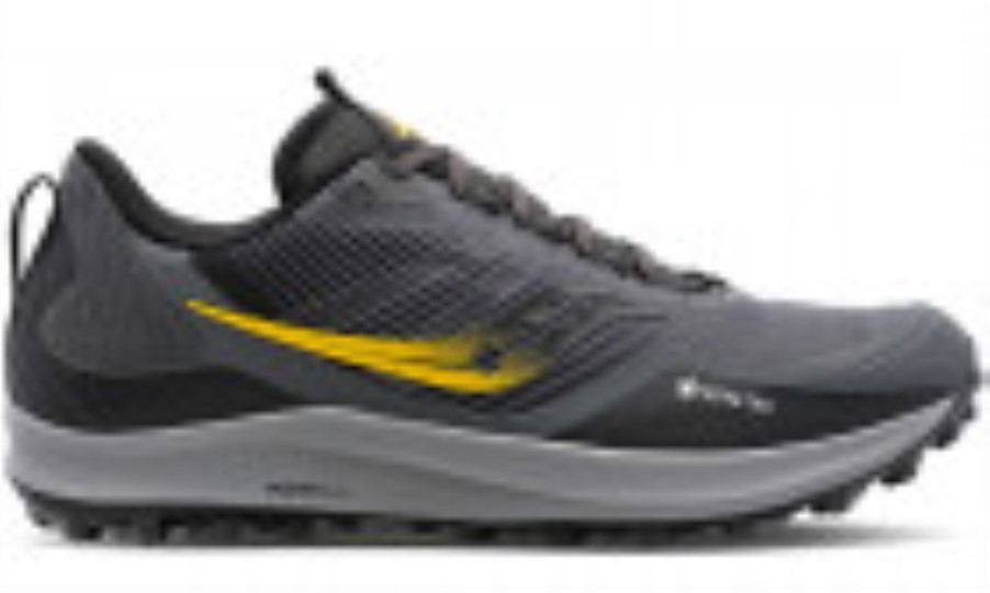 Saucony Men's Peregrine 12 (Gore-Tex) Alloy Quartz