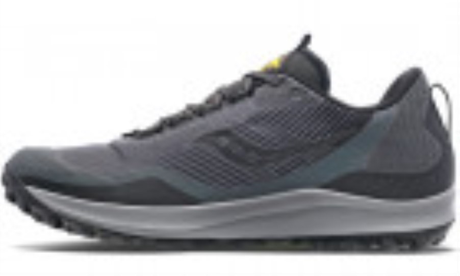 Saucony Men's Peregrine 12 (Gore-Tex) Alloy Quartz